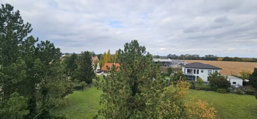 Gemütliche 2 Zimmerwohnung in Laxenburg. Toplage. Provisionsfrei. Schlicht, Simpel, Vernünftig.