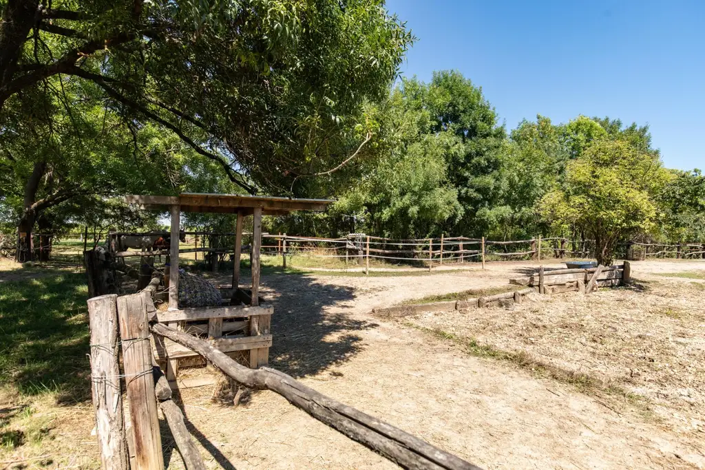 BAULAND in Neusiedl am See – Wohnen im Grünen mit bester Lebensqualität