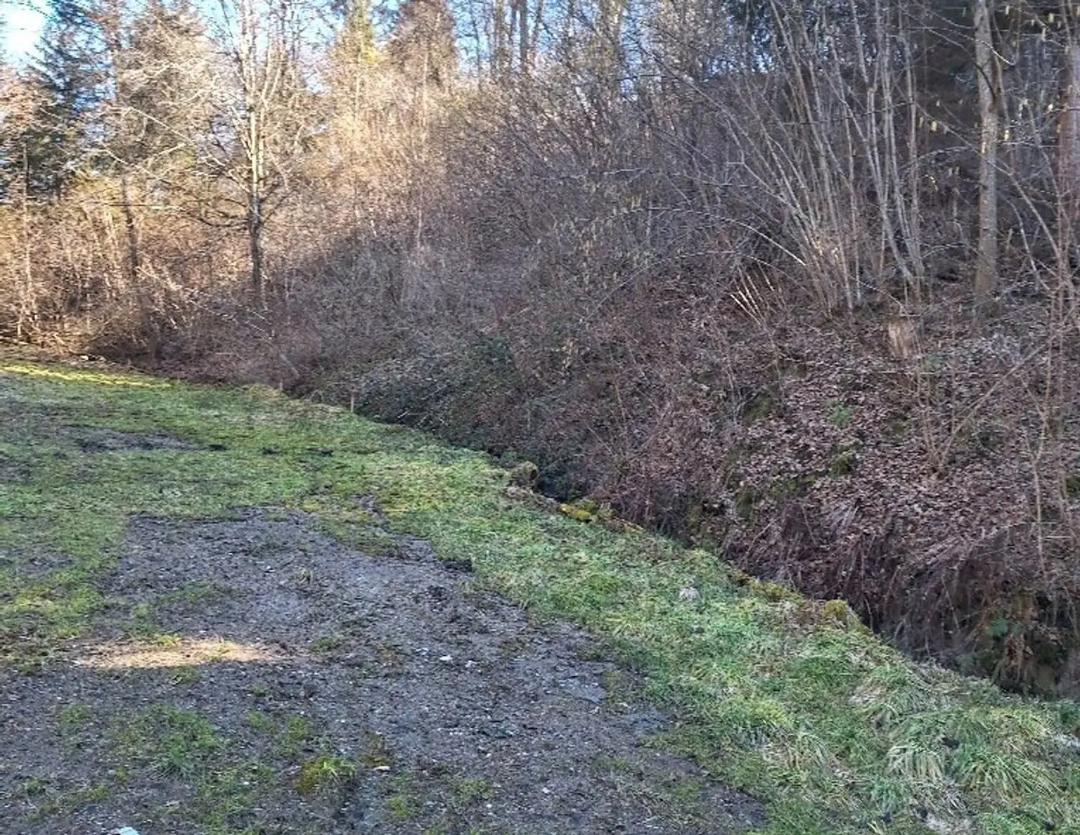 K3 - GROSSES GRUNDSTÜCK IN WALDRANDLAGE mit 1200 m2 Bauland und 1500 m2 Wald in der Gemeinde St. Kanzian