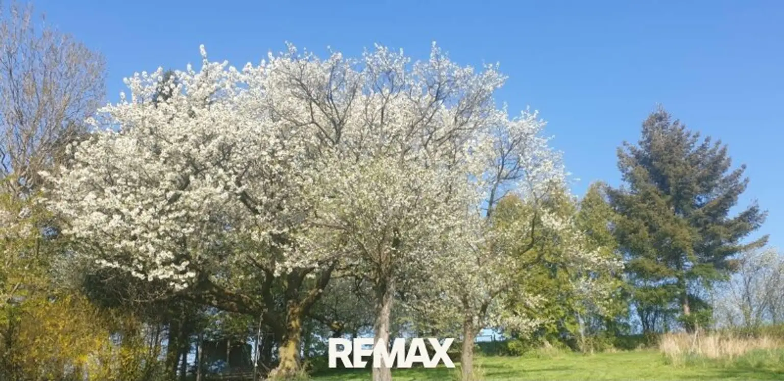 10 Garten