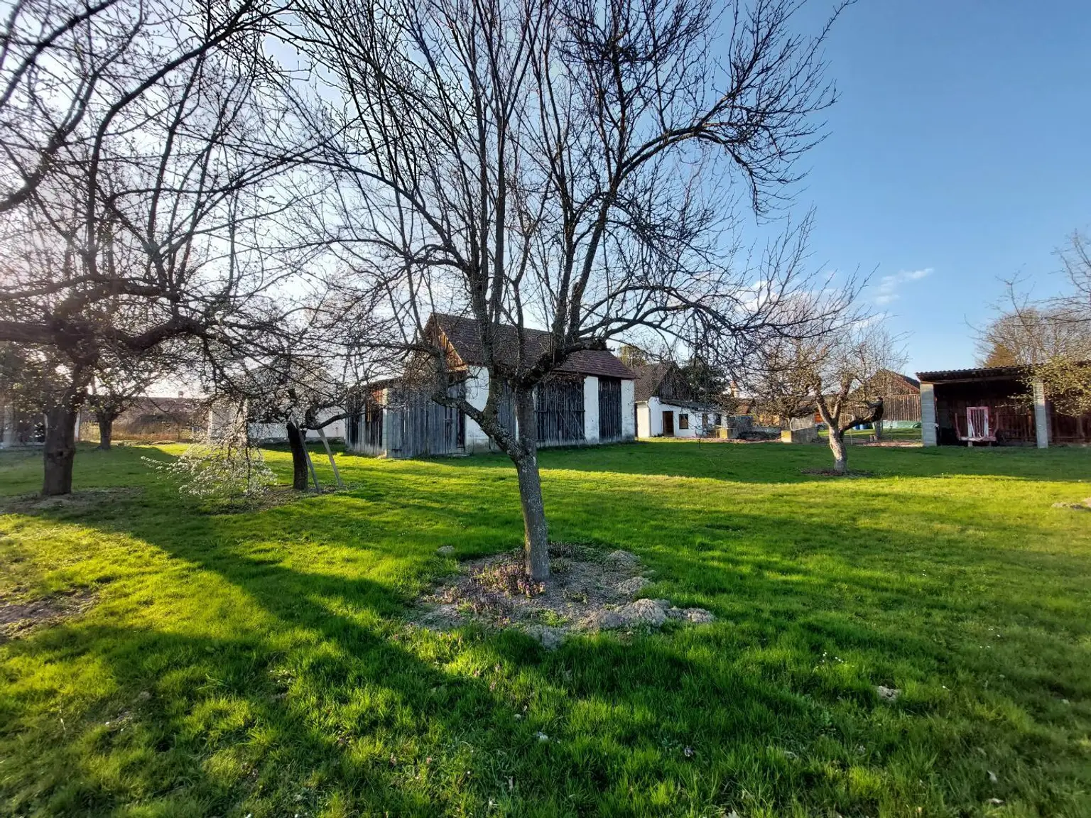 Obstgarten