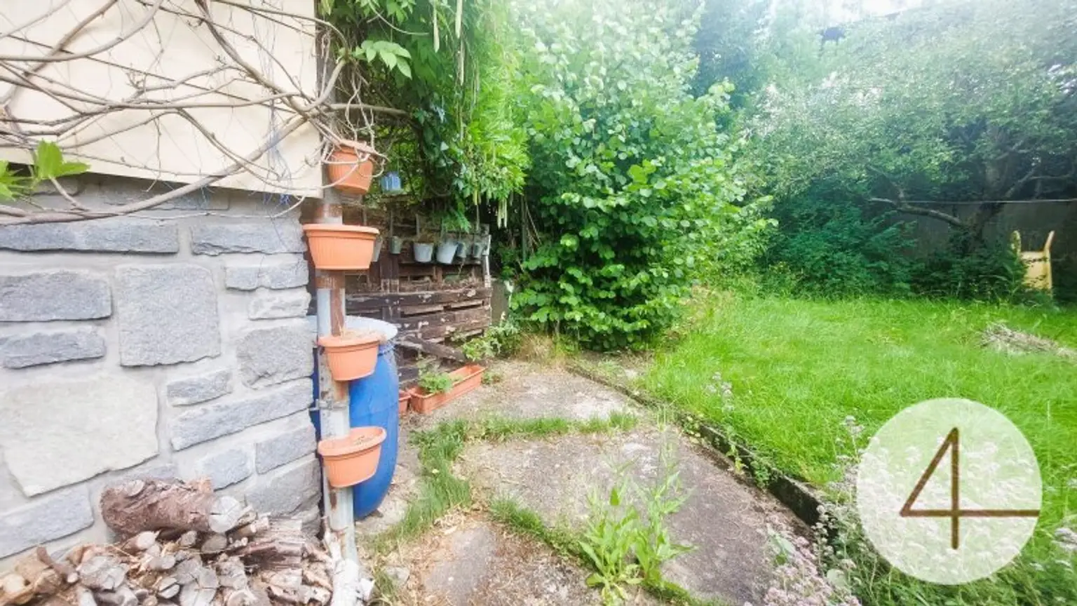 Natur rund ums Haus!