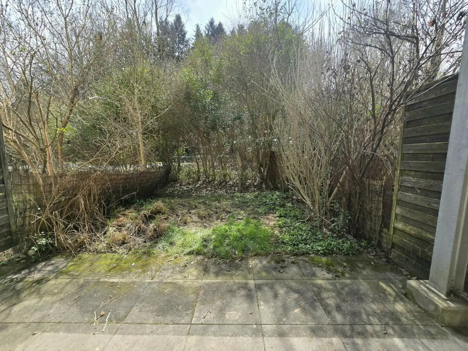 Entzückende Gartenwohnung!