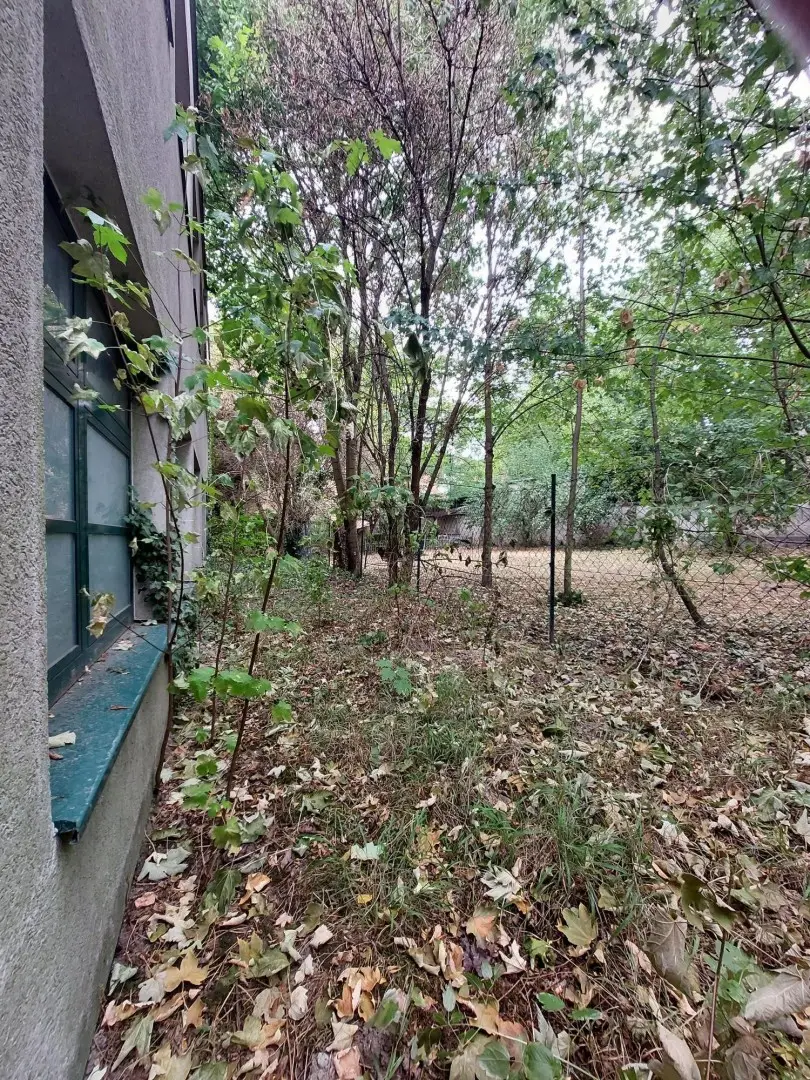 Nördlicher Garten_2