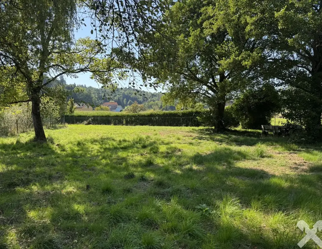 Idyllisch Leben - Grundstück mit altem Baumbestand und Teich
