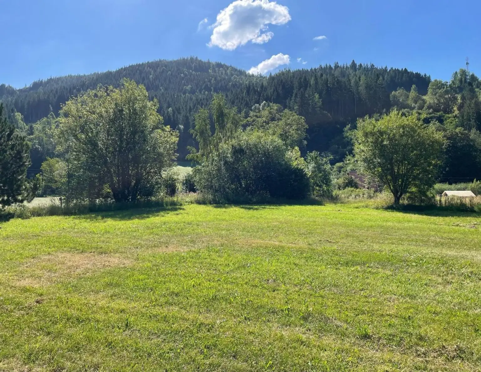 Traumhaftes Grundstück in Stanz im Mürztal - 7840 m² Bauland