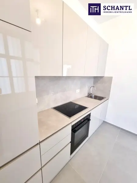 Stuck an der Decke. Gänsehaut im Herzen! 3 Zimmer und separate Küche in Bestlage in 1050 Wien! HIP und TRENDY die Gegend - Magisch schön das Altbauhaus - Ein MUST HAVE die Wohnung! TOP Infrastruktur + Beste öffentliche…