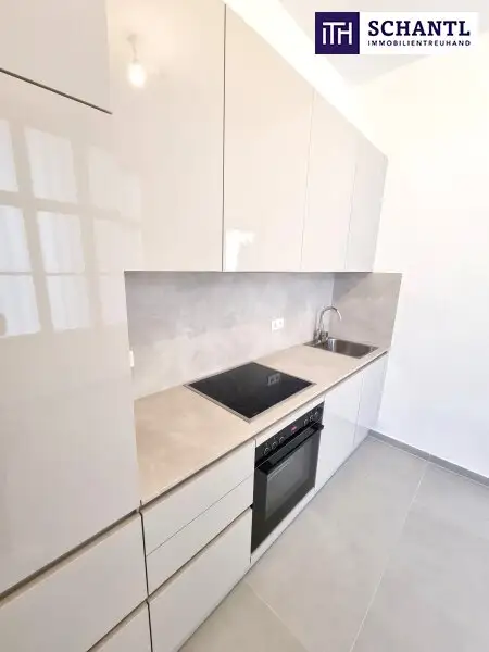 Stuck an der Decke. Gänsehaut im Herzen! 3 Zimmer und separate Küche in Bestlage in 1050 Wien! HIP und TRENDY die Gegend - Magisch schön das Altbauhaus - Ein MUST HAVE die Wohnung! TOP Infrastruktur + Beste öffentliche…