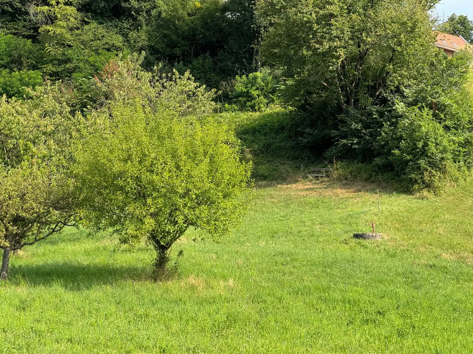 Gepflegter Bungalow auf dem Land mit großzügigem Grundstück