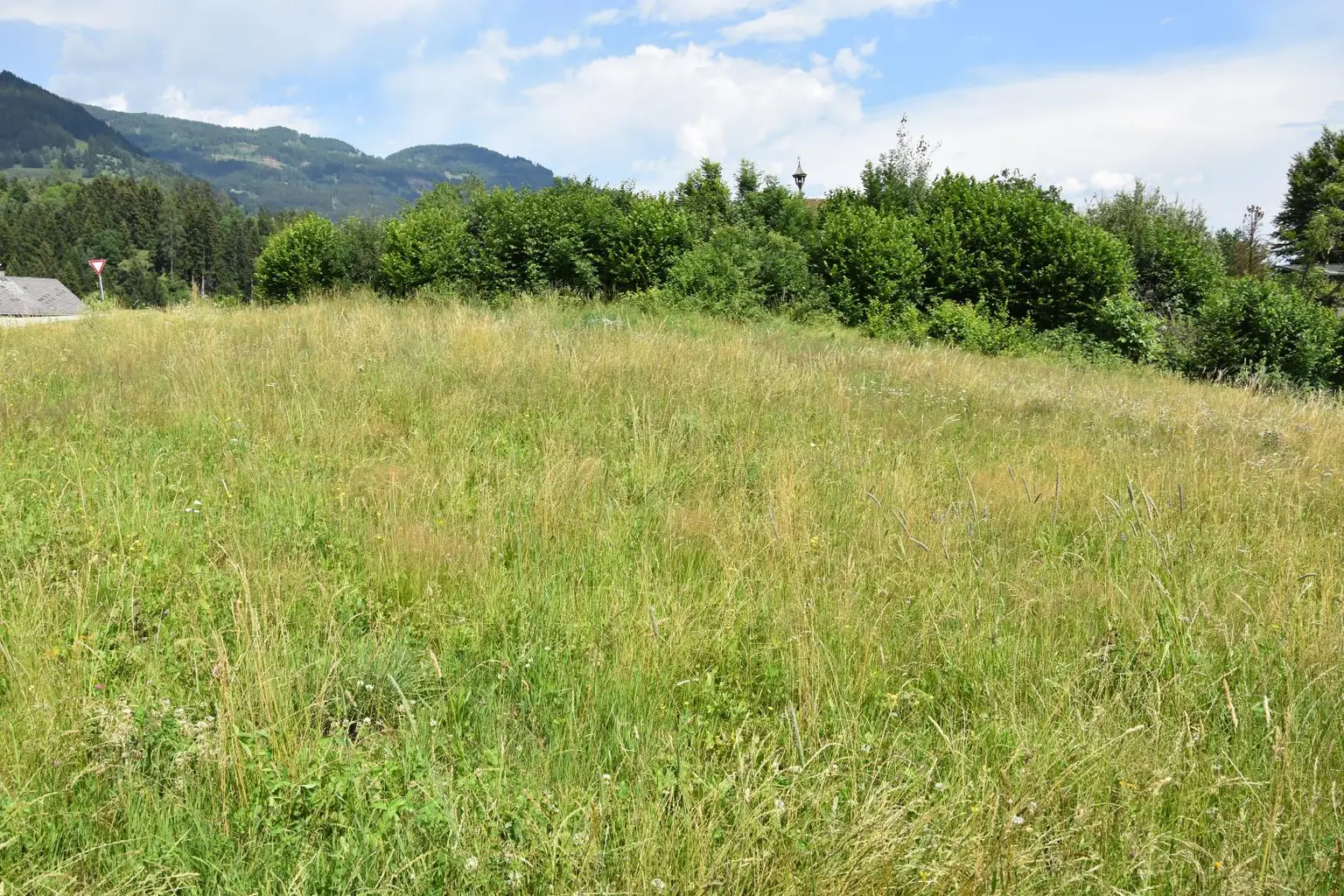 geplante Zufahrt bei der Hecke