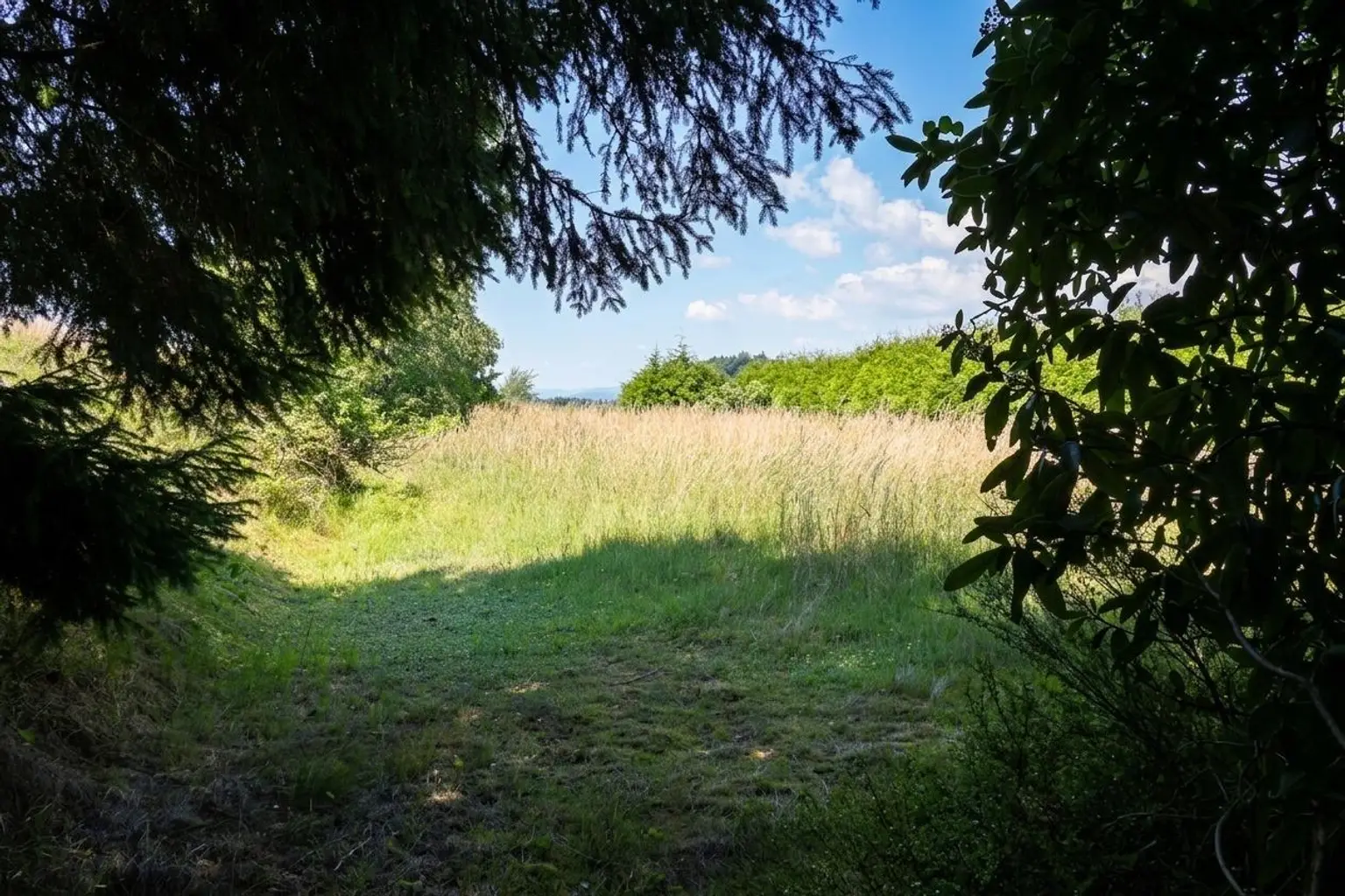 zusätzlicher Grünstreifen