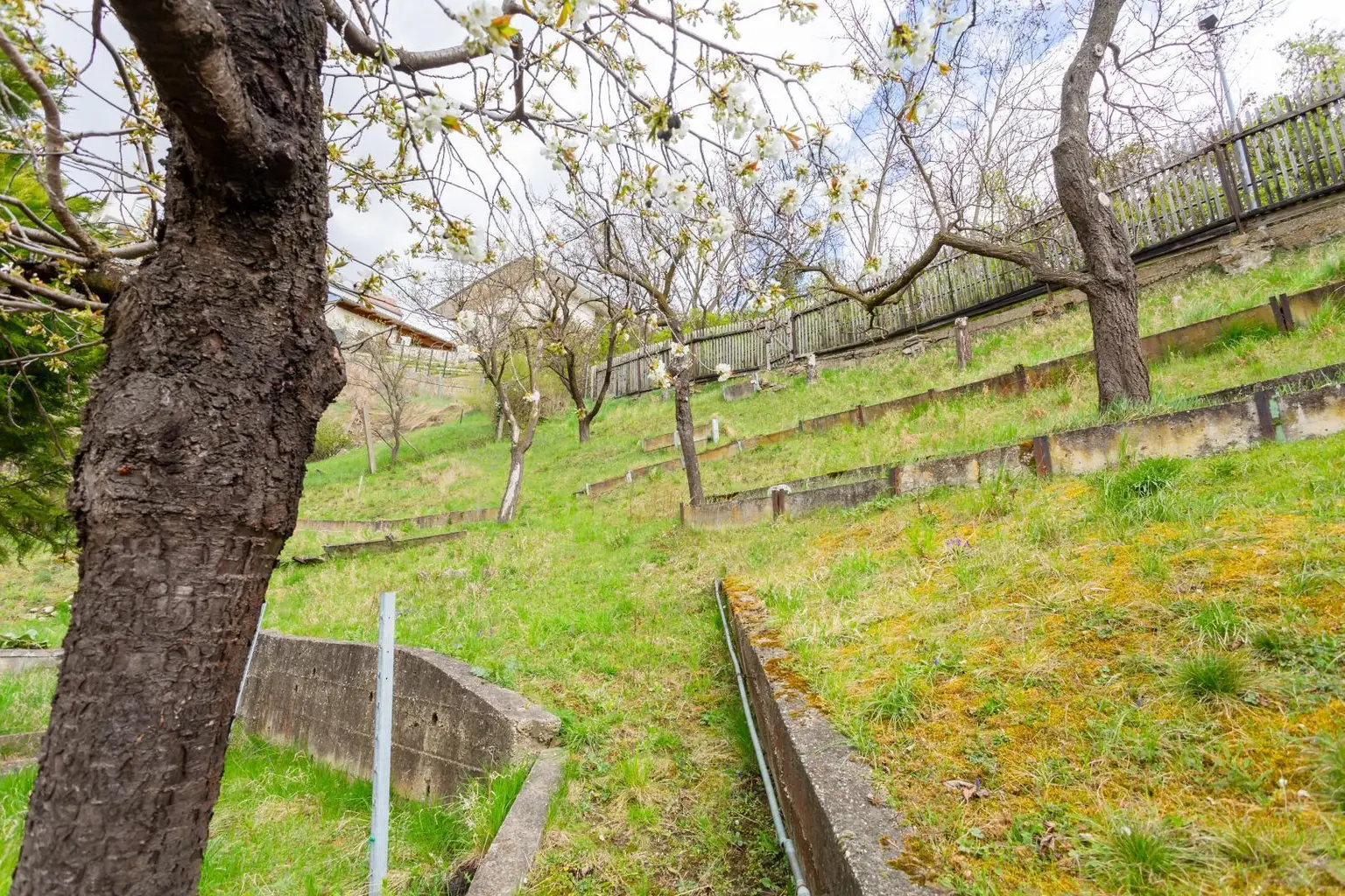 Garten III