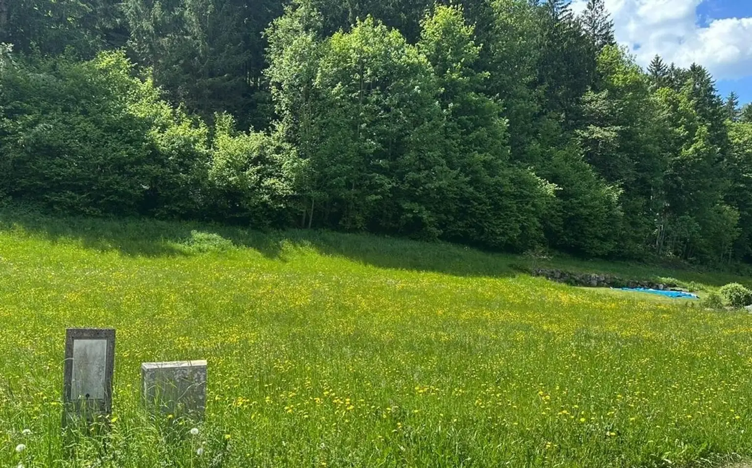 Bild2