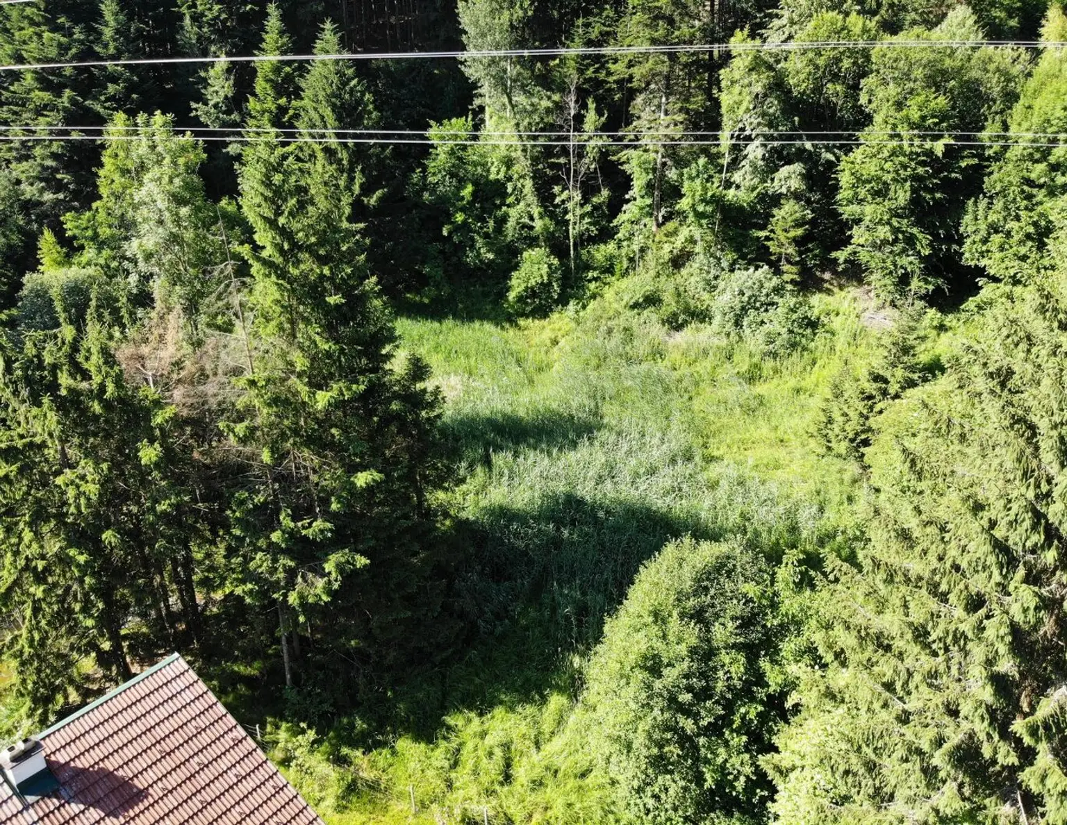 Großzügiges Grundstück - auch als Gartengrund nutzbar - in ruhiger Lage- provisionsfrei für die Käufer!