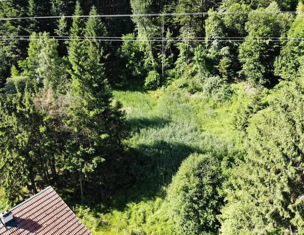 Großzügiges Grundstück - auch als Gartengrund nutzbar - in ruhiger Lage- provisionsfrei für die Käufer!