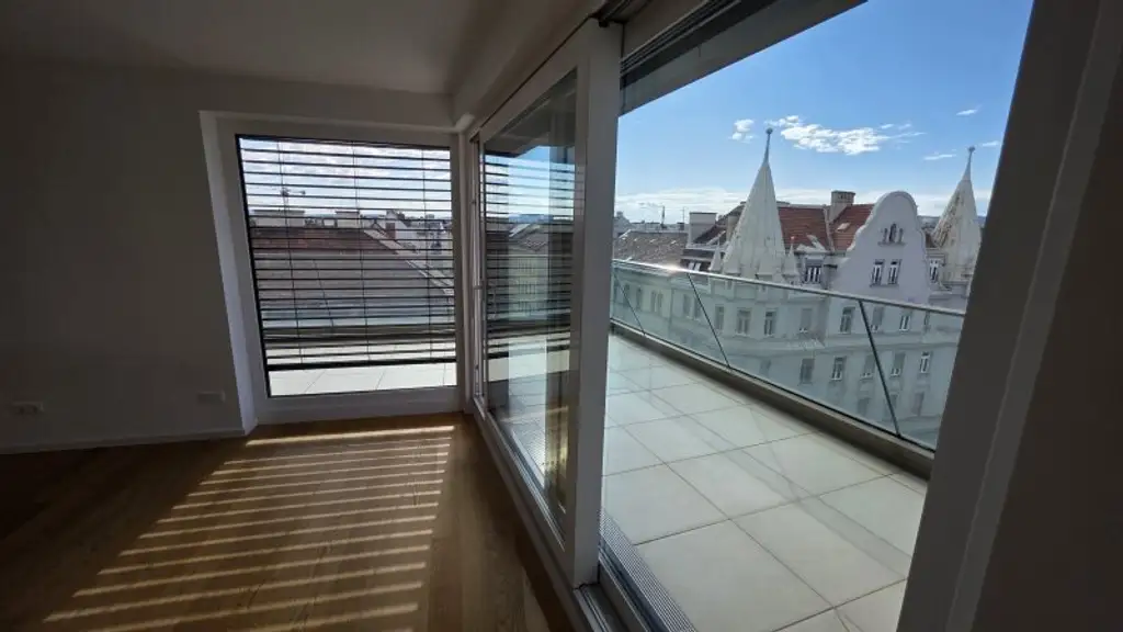 Über den Dächern von Wien  (Video)