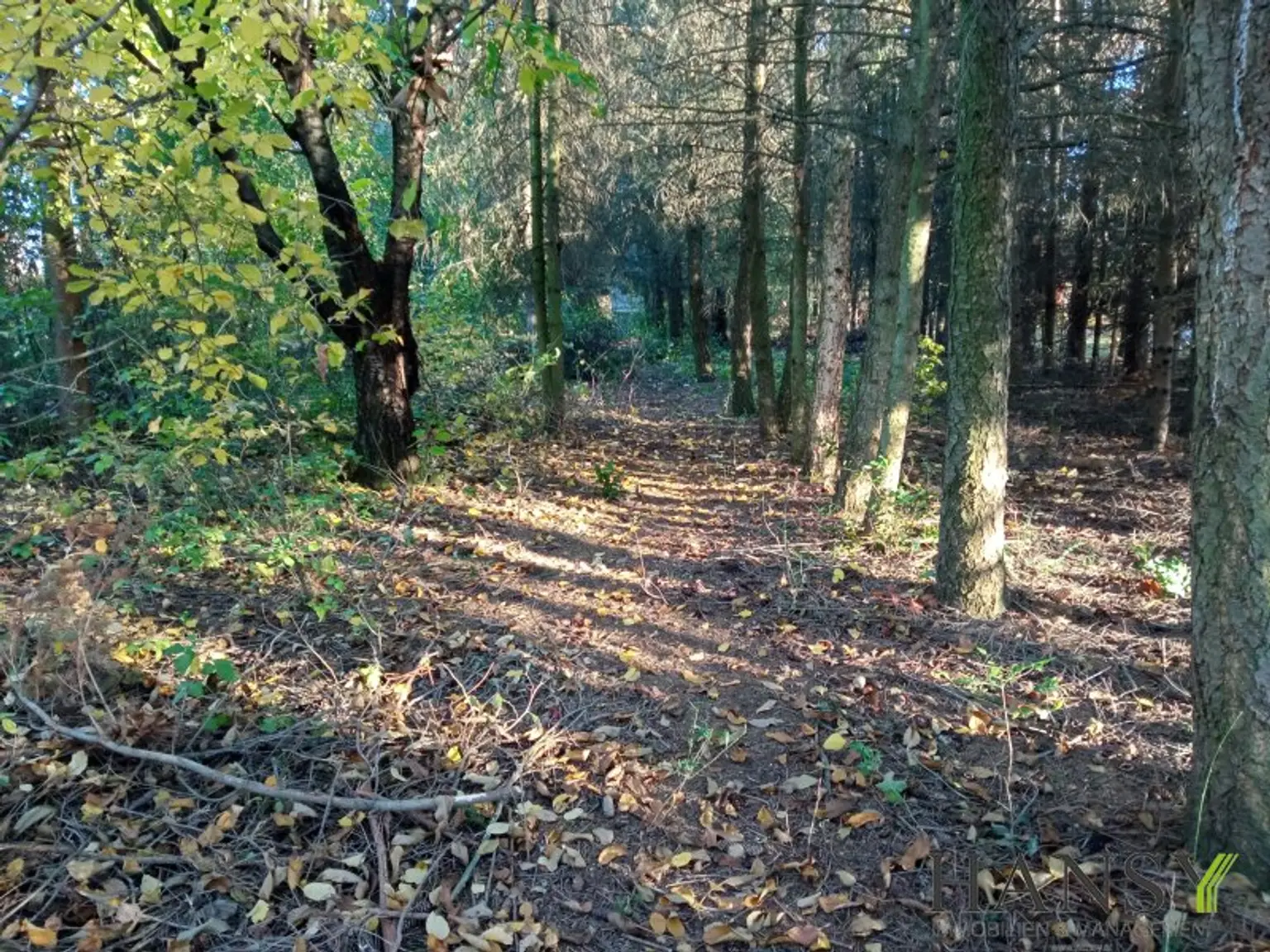 Naturparadies