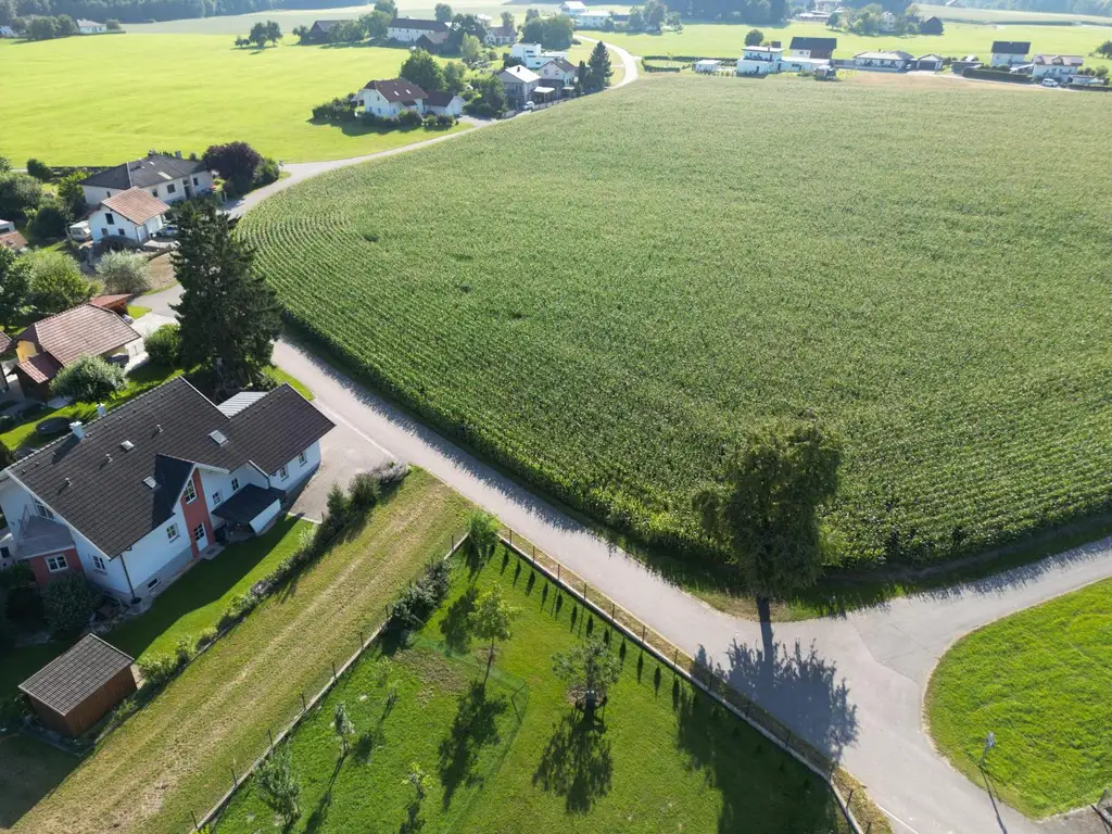 Neu vermessene Grundstücke in Breitenried