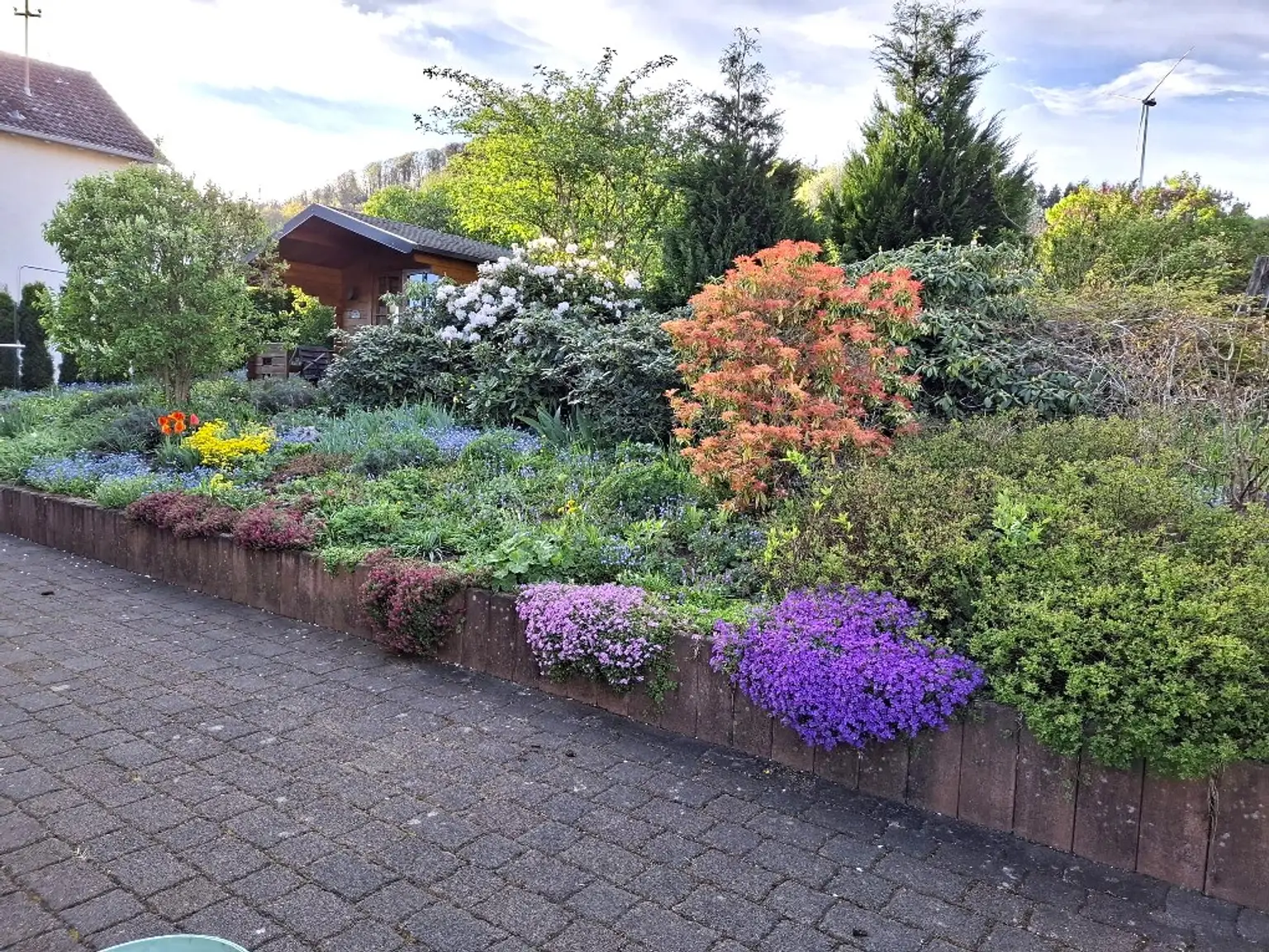 Garten hinten (Sommer)