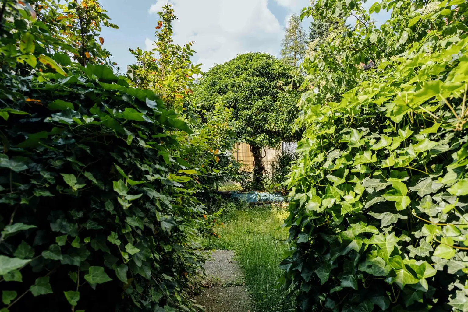 Graz Eggenberg: Neubauwohnung mit großem Balkon, Garten und kostenfreier Parkzone