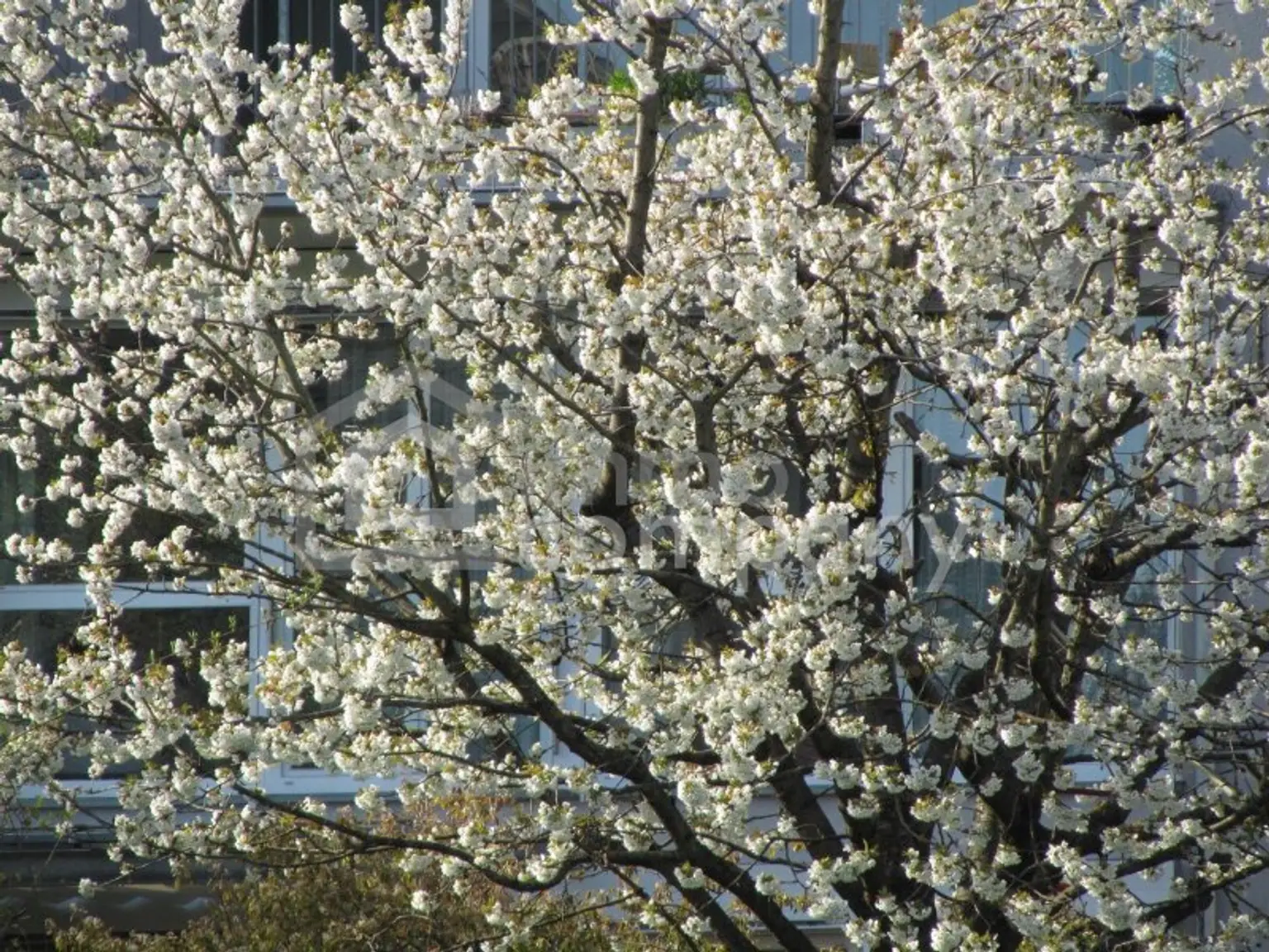 Schöne und große Wohnung. - Sonnig, tolle Aussicht !