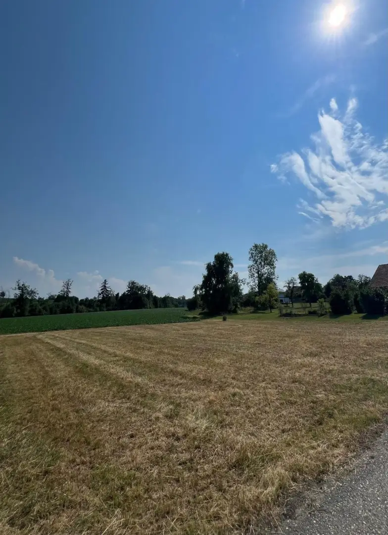 Grundstück