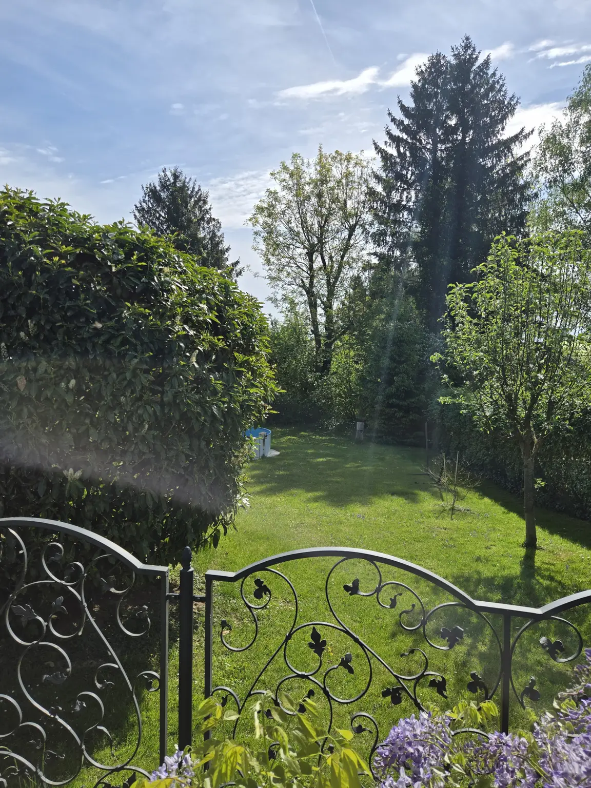 Sonniger Garten (Westen)