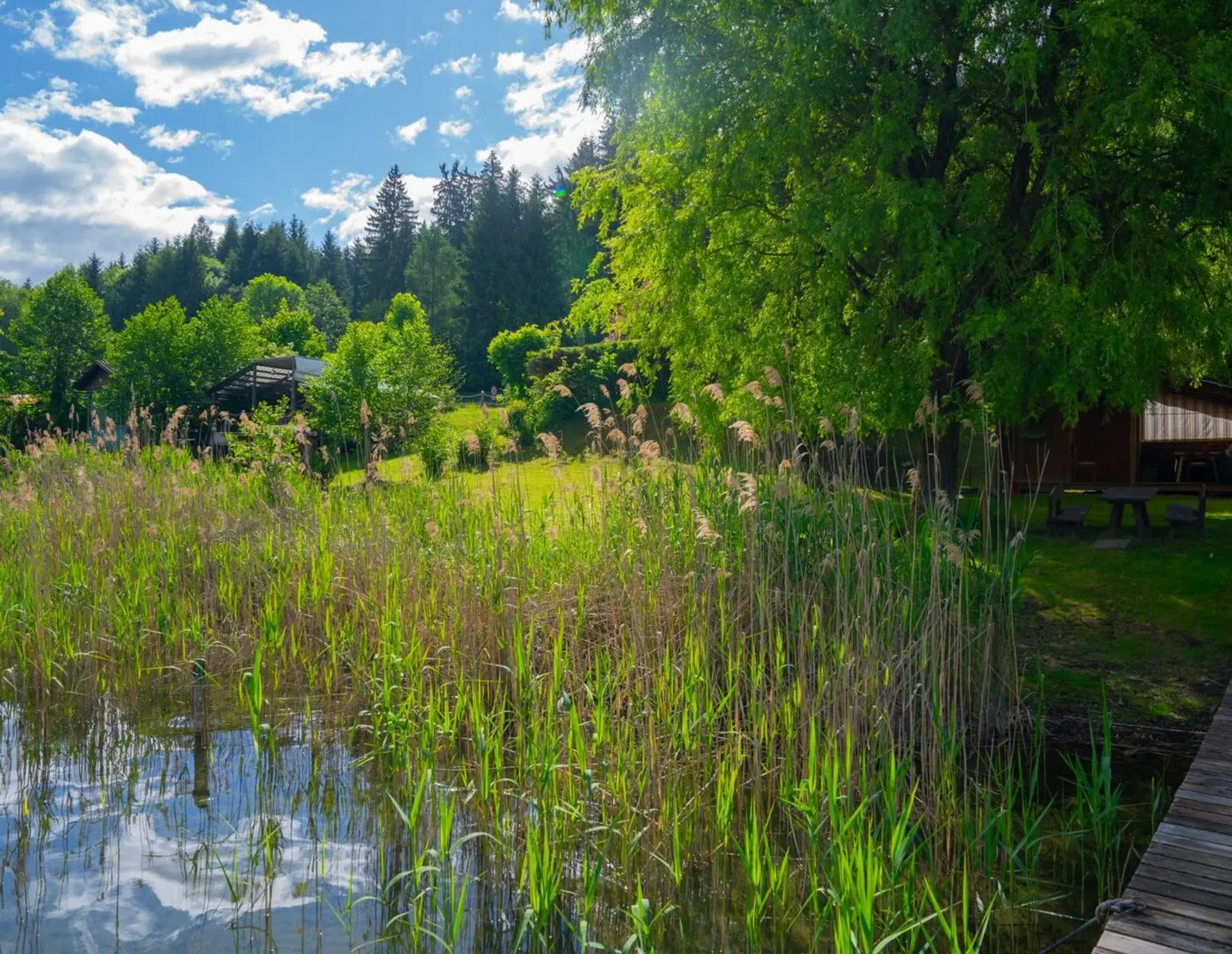 NEU - Seegrundstück mit der Perfekten Uferlänge und Grundtücksschnitt