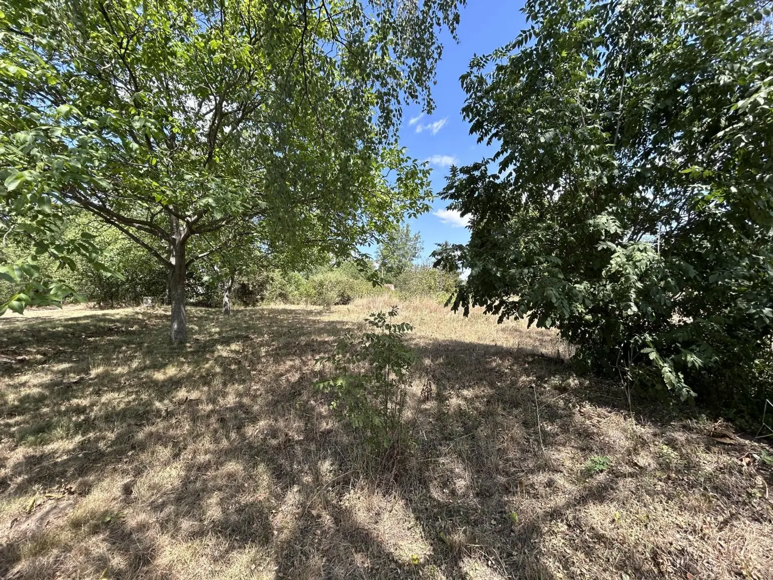 Garten hinter dem Haus (Gemeindegrund zur Mitbenüt