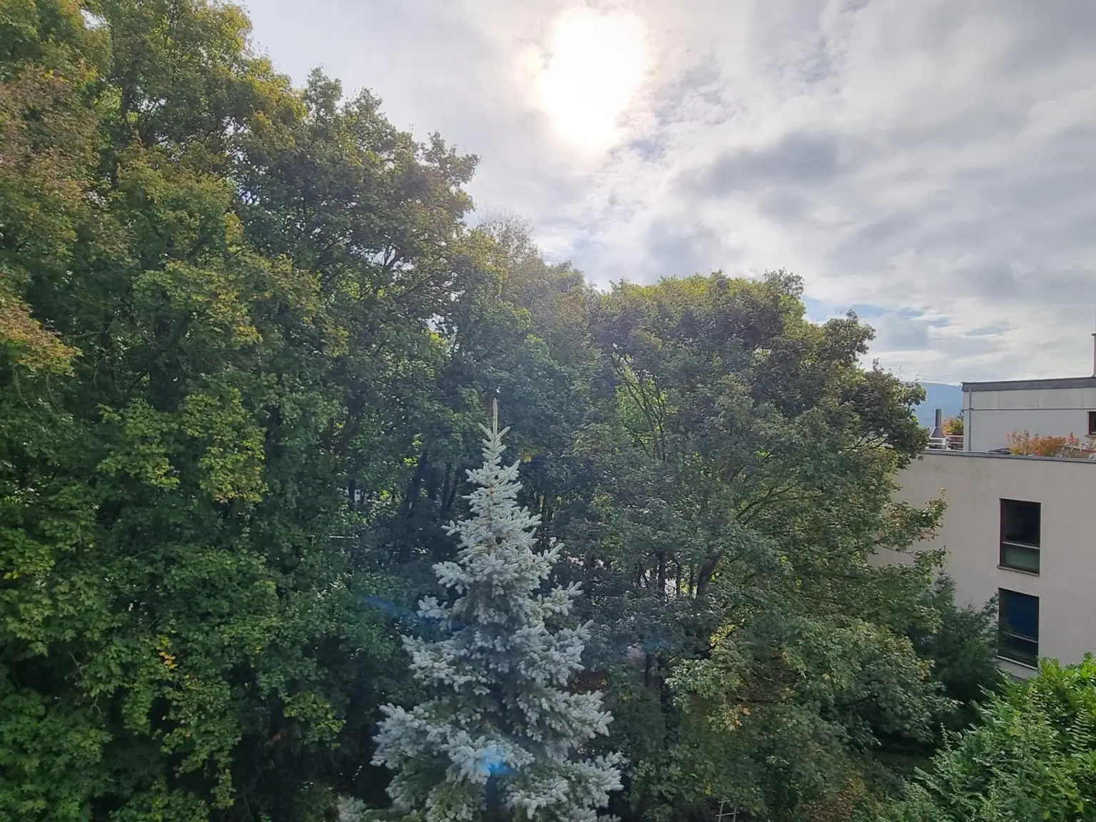 WOHNUNG  MIT  WOHNRECHT