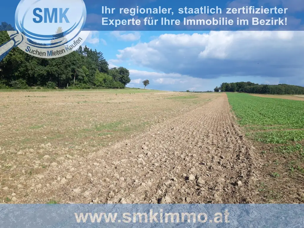 Acker bei Maissau - 3,42 ha landwirtschaftliche Nutzfläche!