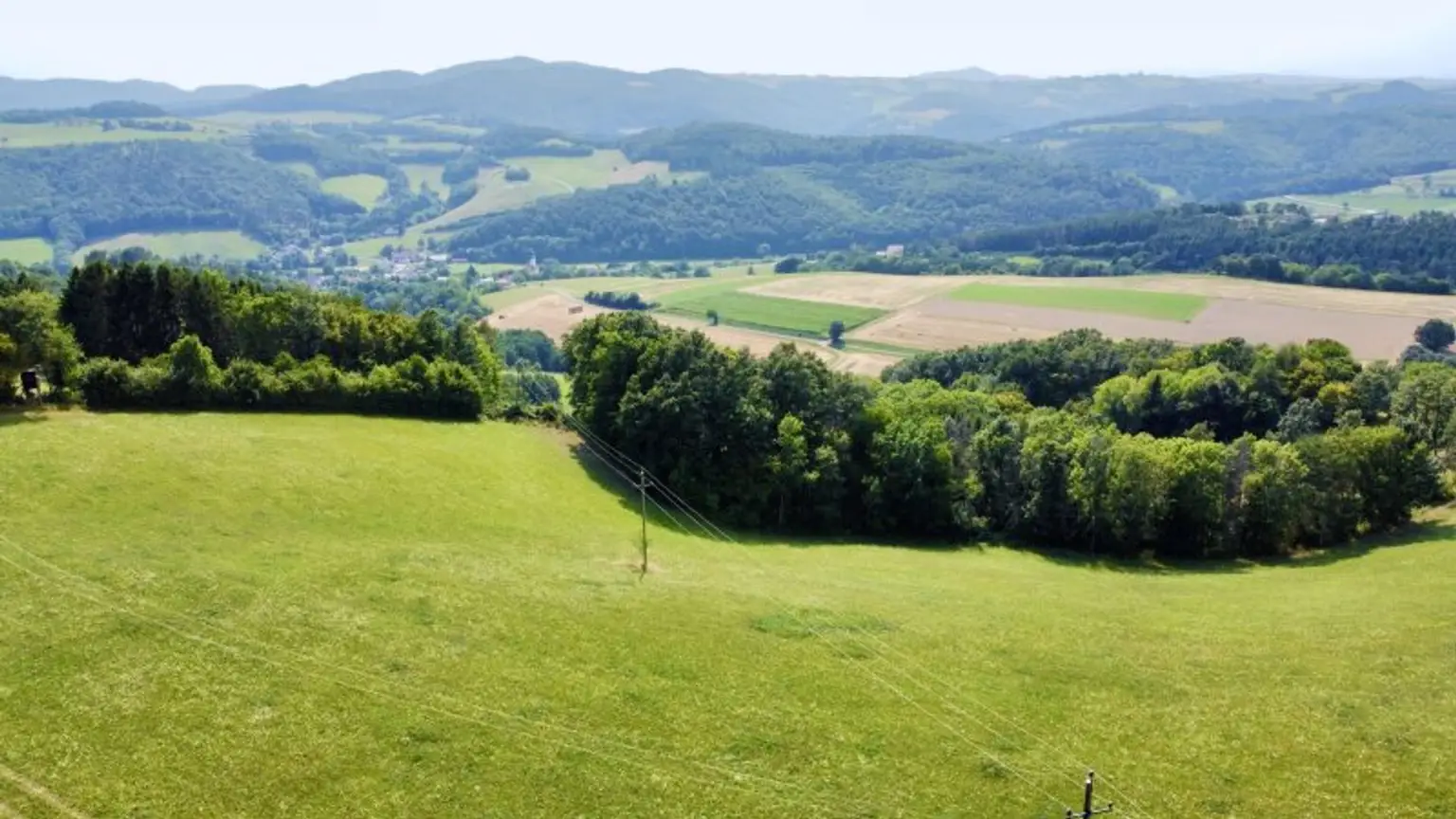 Grundstück mit Baumbestand für landwirtschaftliche Zwecke | 60.053 m² | Schwarzenbach in der Buckligen Welt