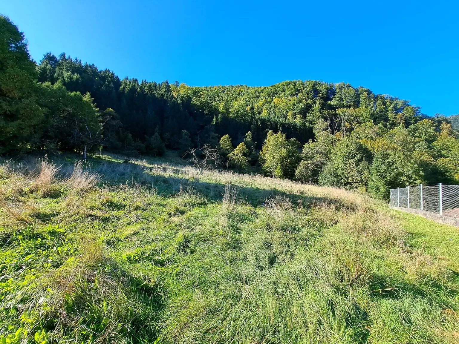 Großzügiges Baugrundstück in Reichraming