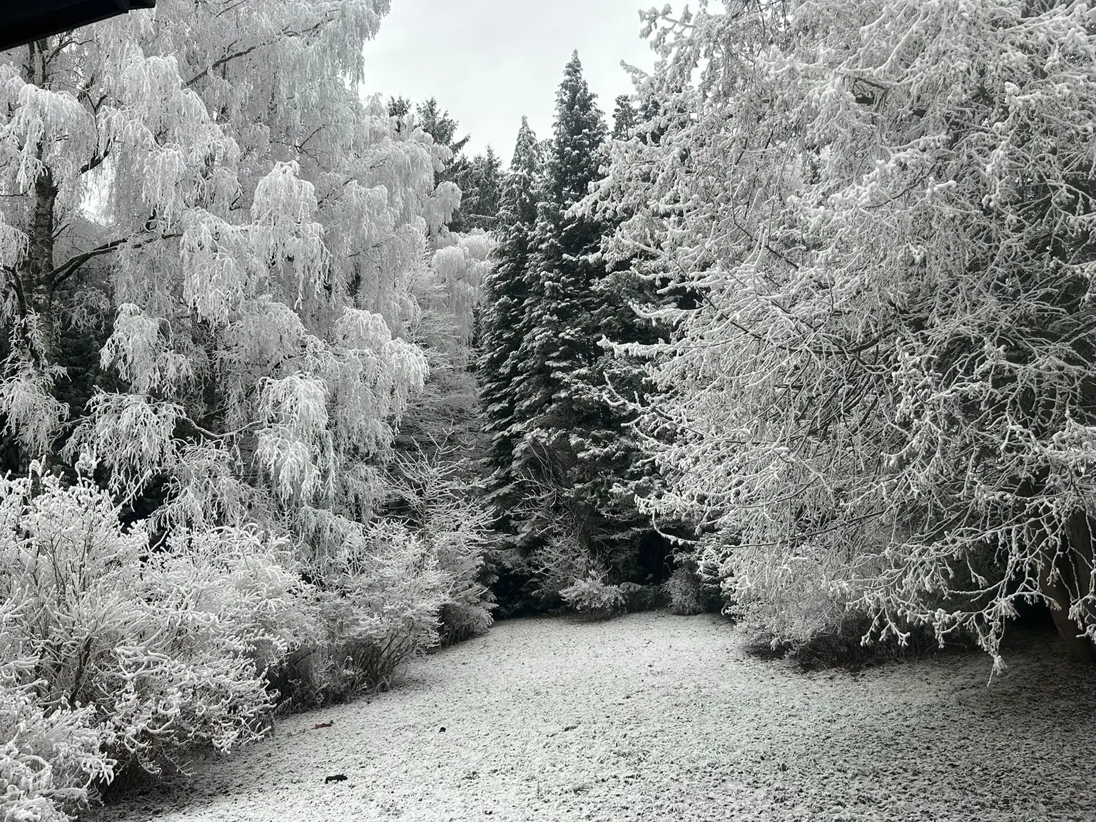 300 Meter von der MITTELSTATION STUHLECK entfernt