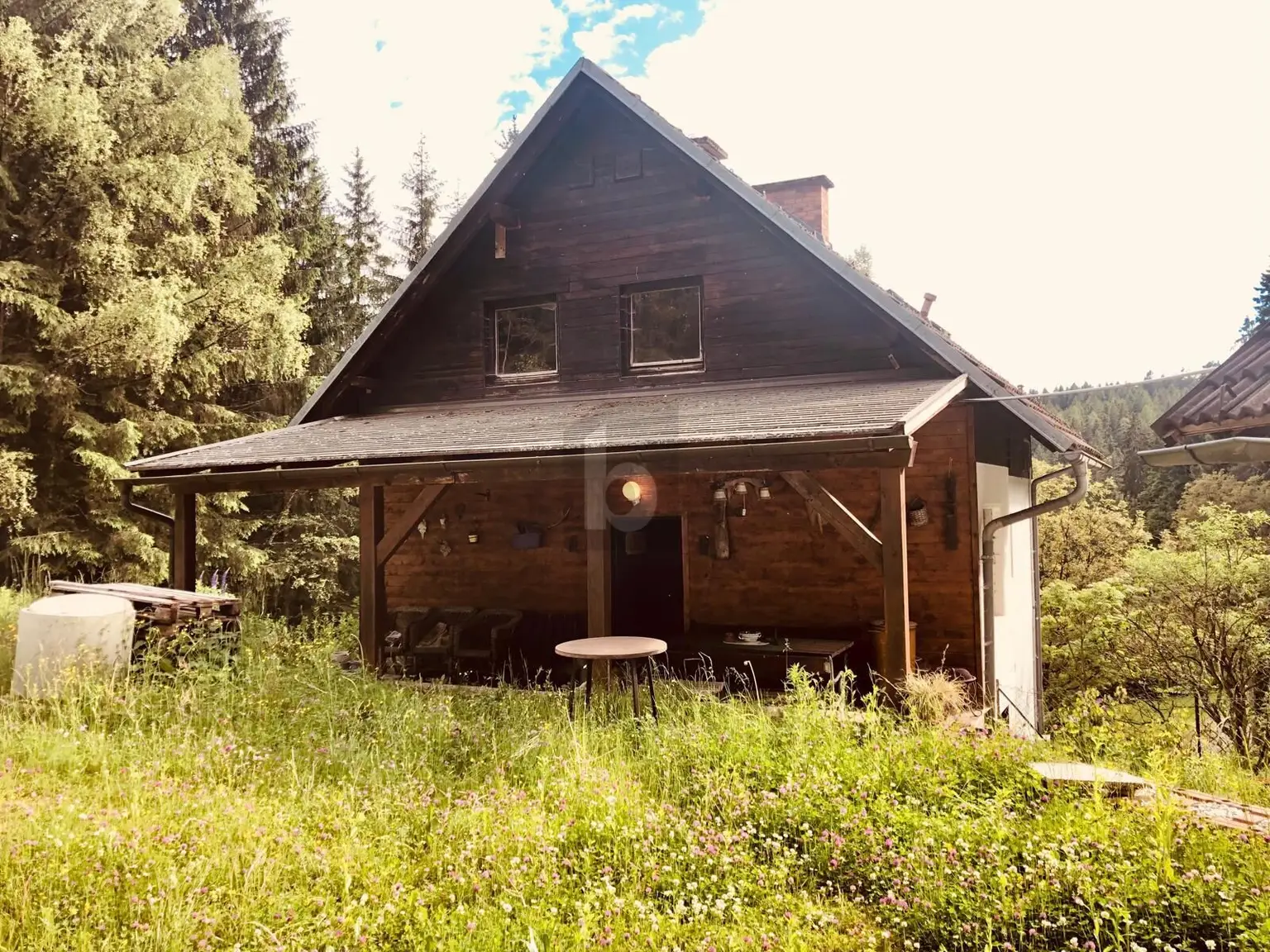 RUHE AM WALDRAND ÜBER DER NEBELGRENZE