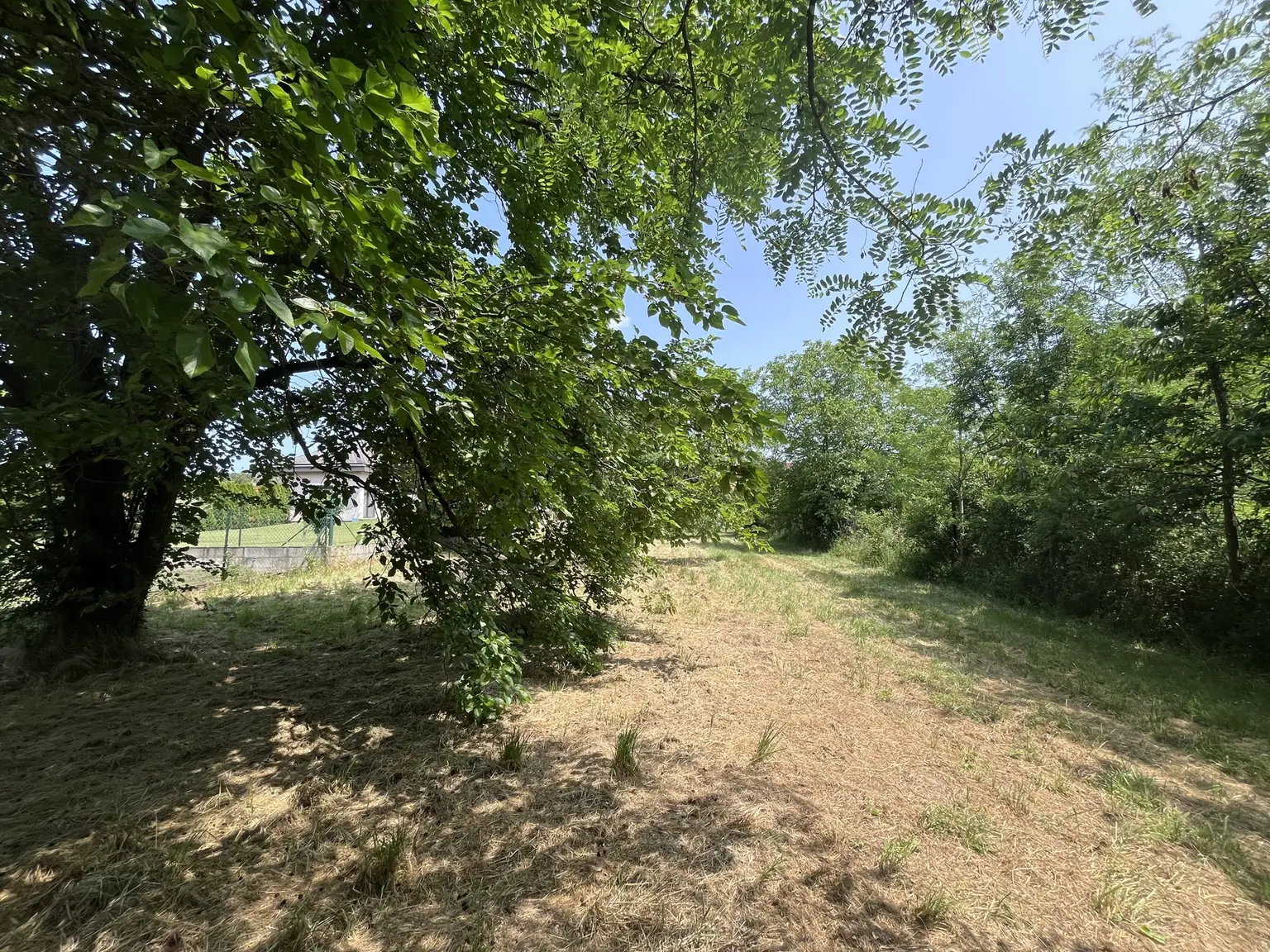 Grundstück mit Altbestand