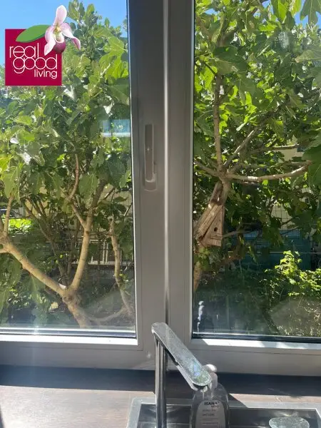 Teilmöbliertes Traumhaus in einer Kleingartensiedlung mit Pool, Garten und einem Wohnkeller