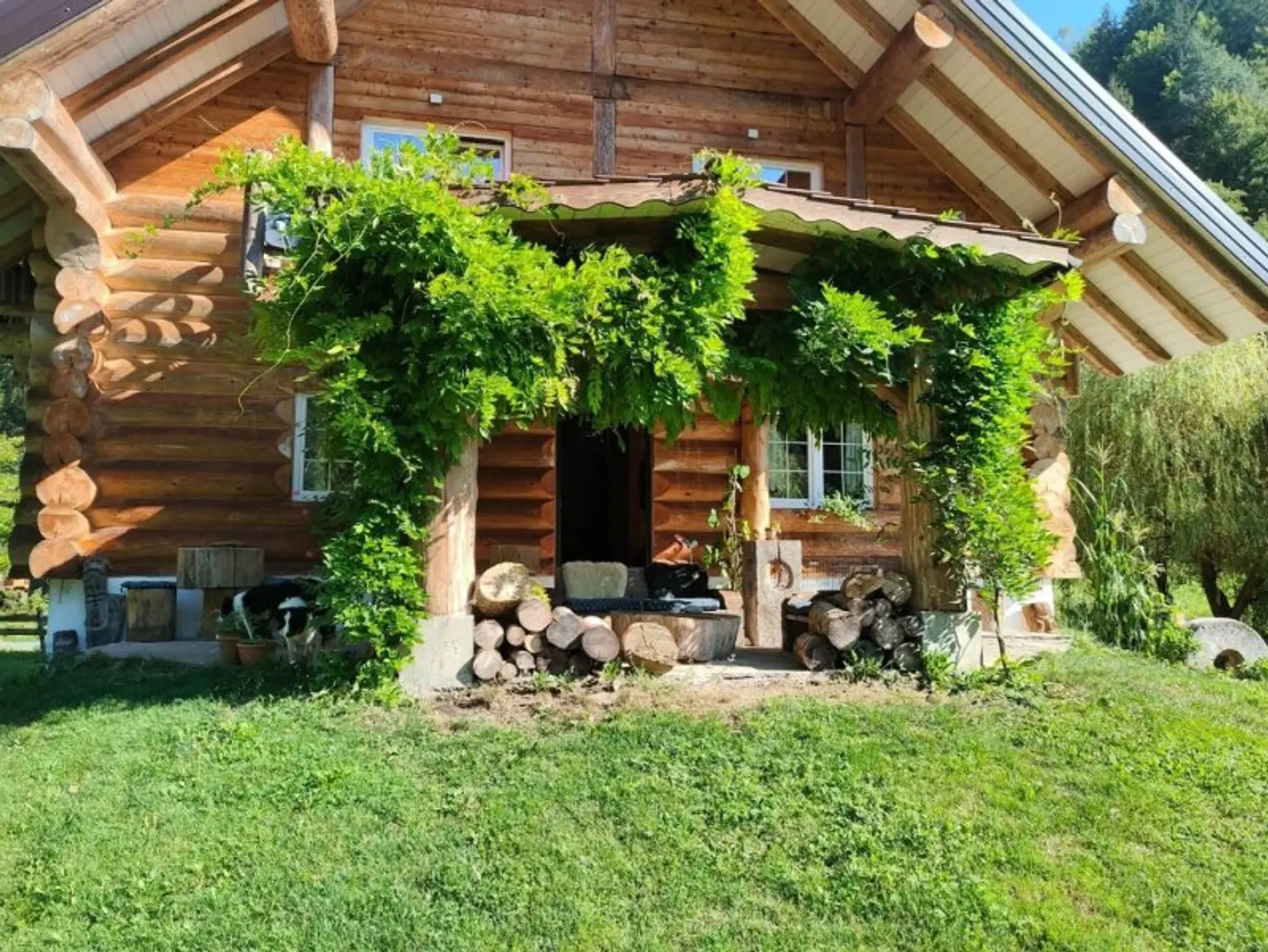 Haus