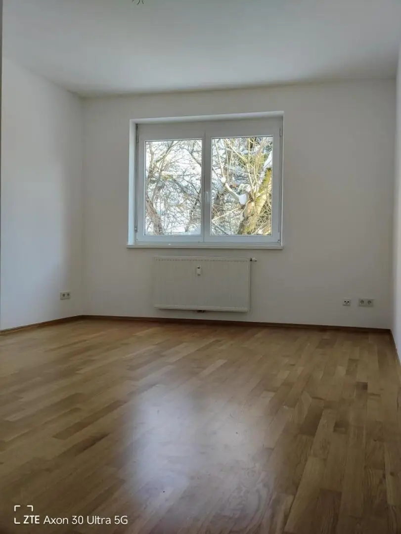 Zimmer 1