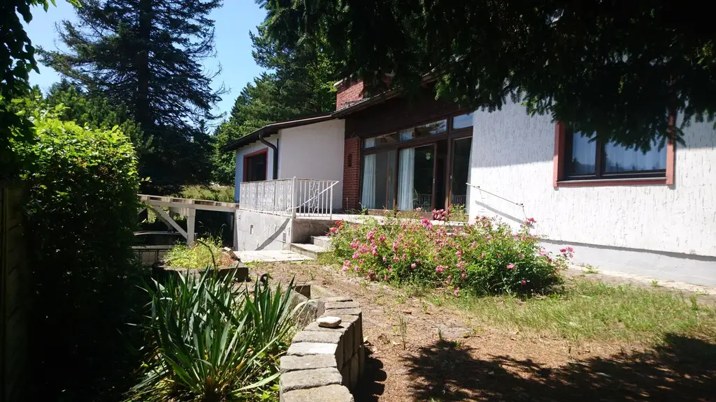Lichtdurchflutetes Haus in ruhiger Waldrand-Lage