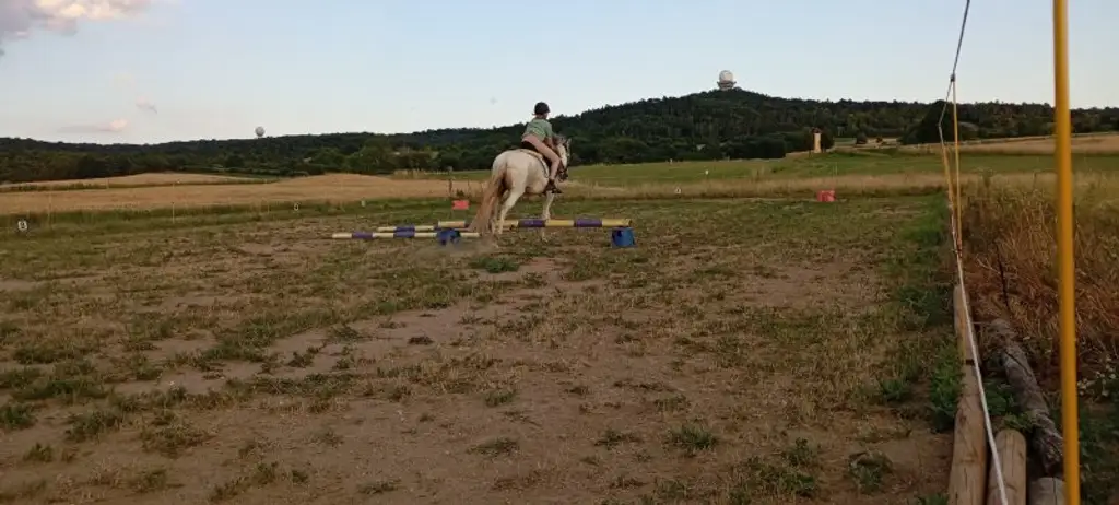 Exklusiver Reiterhof & Historisches Herrenhaus
