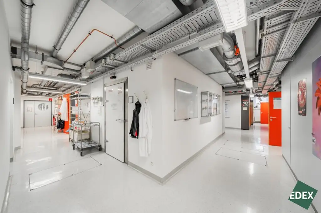 Vollausgestattete Laborflächen im Vienna Bio Center