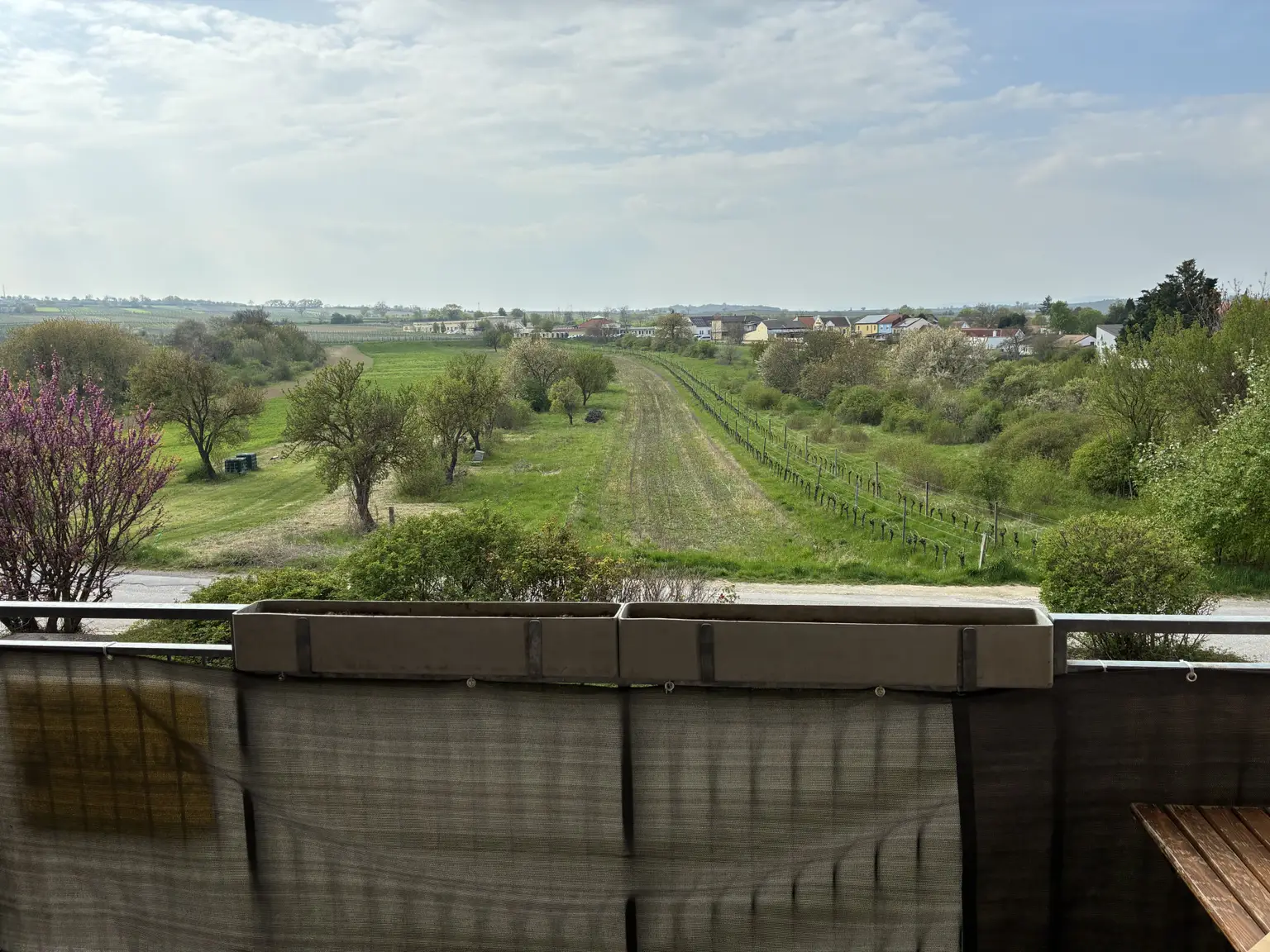 Ausblick Loggia Weingarten