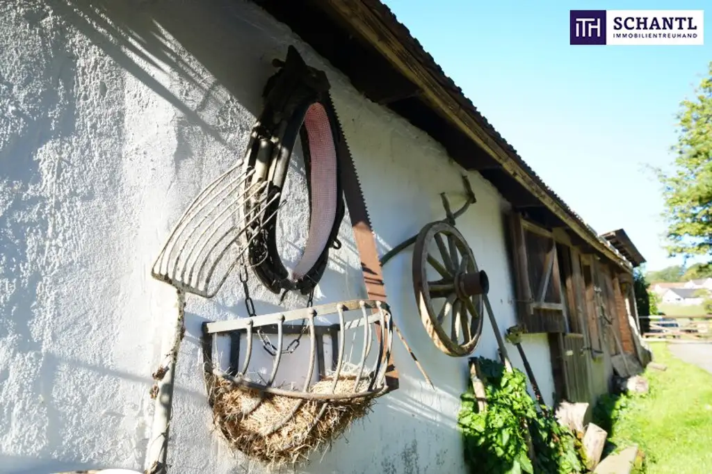 SENSATIONELLES JUWEL! Exklusiver Vierkanthof im Thermenland Steiermark – Wohnen, Reiten & Leben mit Pool und Natur!