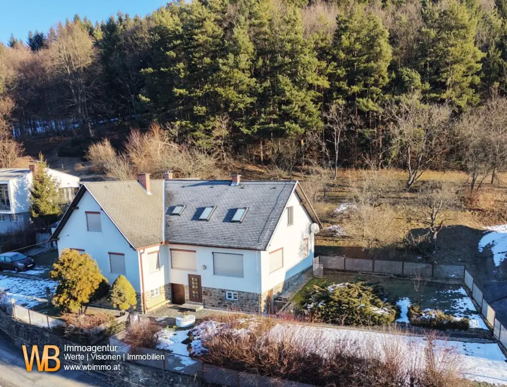 2 große Häuser nebeneinander, Fernblick, angrenzender Wald 7ha optional