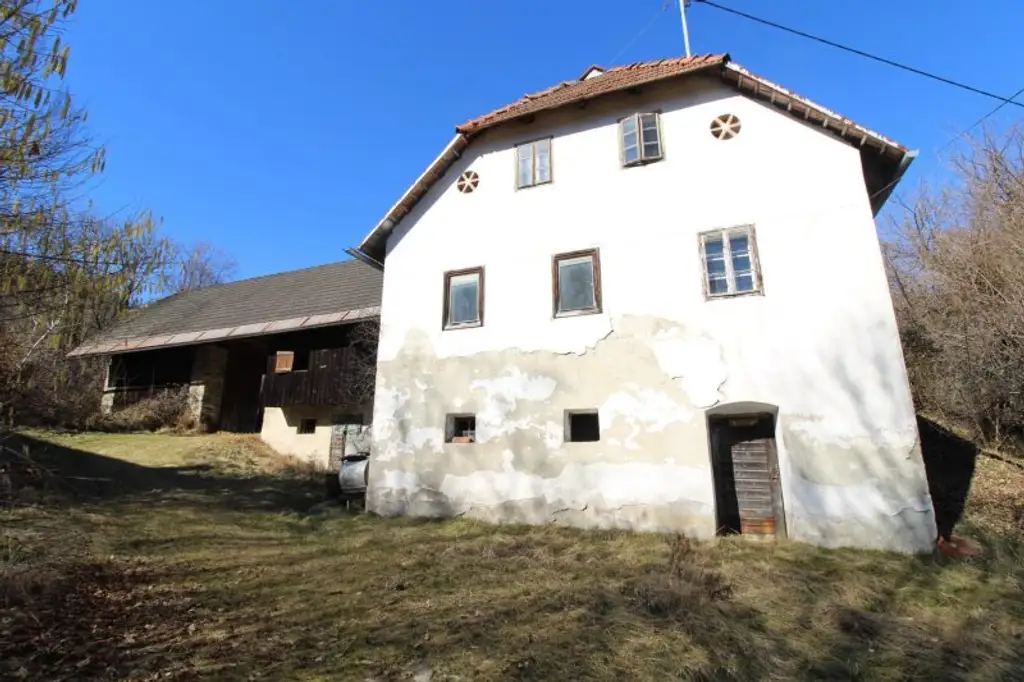 Landwirtschaft mitten in Viktring- Baugrund  - Landwirtschaftliche Nutzflächen