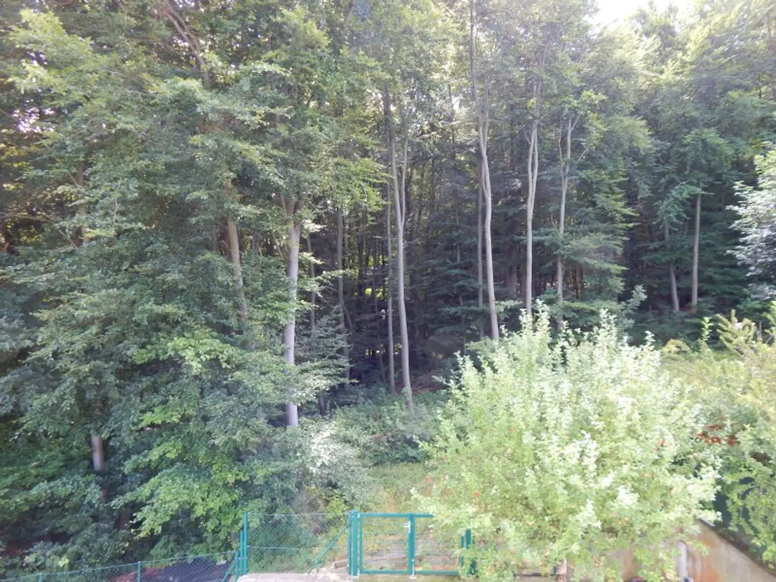 "Wohntraum" Villa mit Pool - Fernblick und direkten Zugang zum Wald