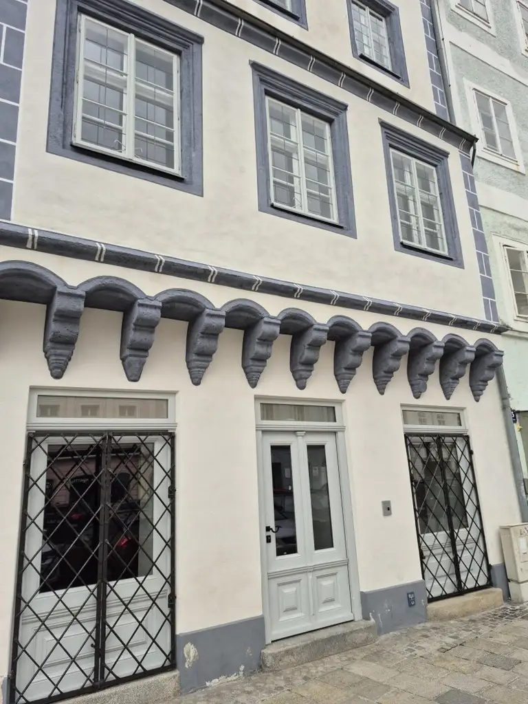 ALTSTADTJUWEL - MITTEN AM WELSER STADTPALTZ - NEUSANIERTE BÜRO- ODER GESCHÄFTSFLÄCHE - KEINE GASTRO!!!