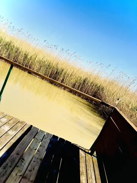 PRIVATSPHÄRE und FLIESSWASSER - FLACHDACHHÜTTE IN DER RUSTER BUCHT AUF PACHTGRUND ZU KAUFEN