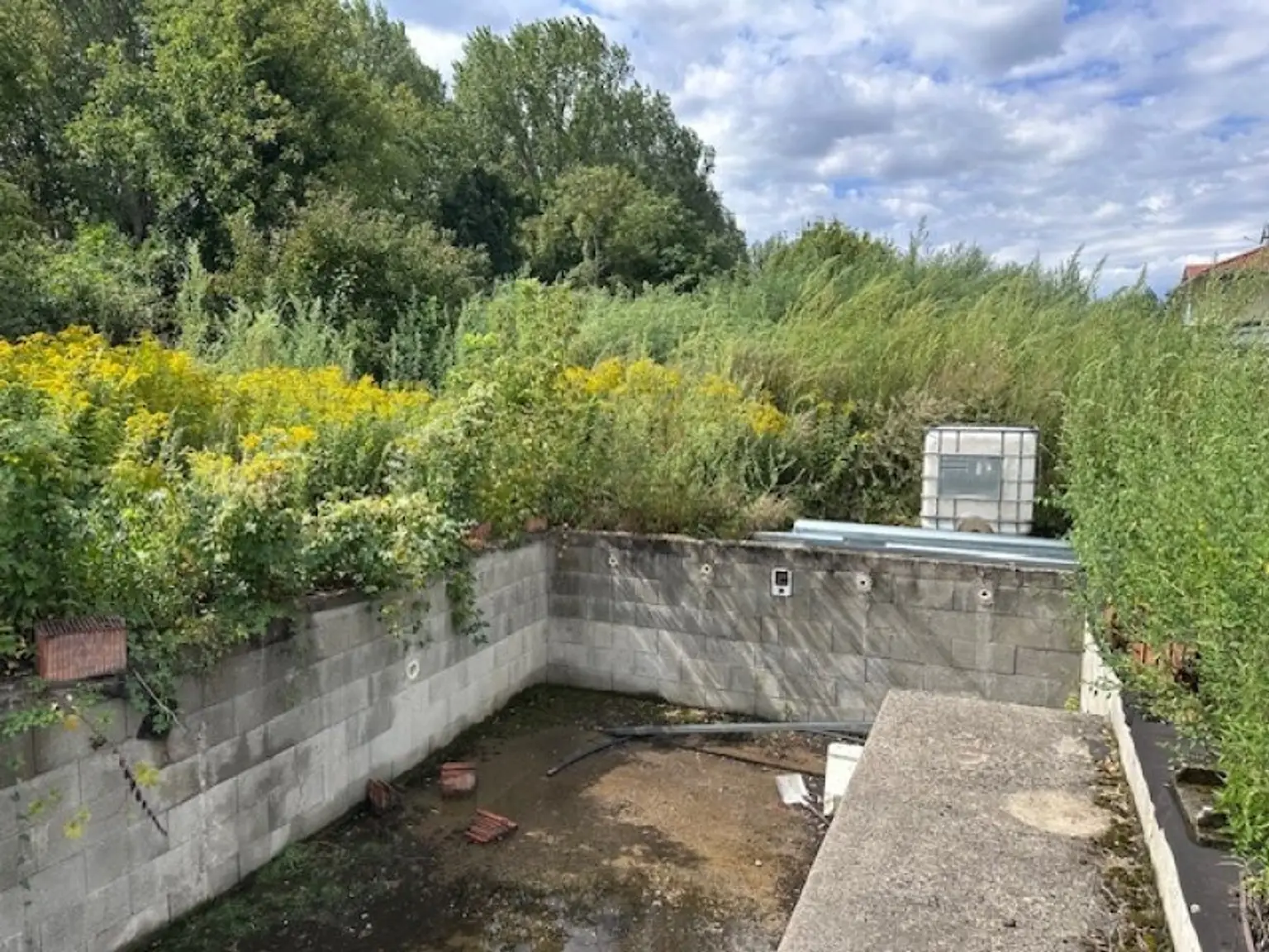 TRAUMHAUS mit POOL am AUWALD mit Blick ins GRÜNE